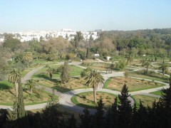 Vue de l'hôtel sur le parc du Belvédère à Tunis
