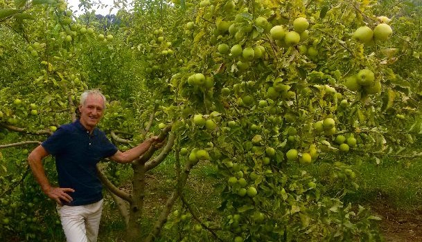 Ignace et les arbres de Tibhirine